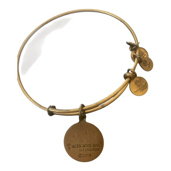 Alex & Ani Love Bracelet EUC - Picture 3 of 3